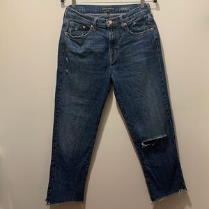 Anthropologie Modern American Highland distressed jeans in size 28